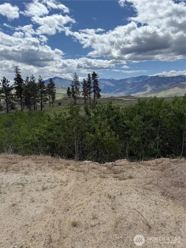 SE view