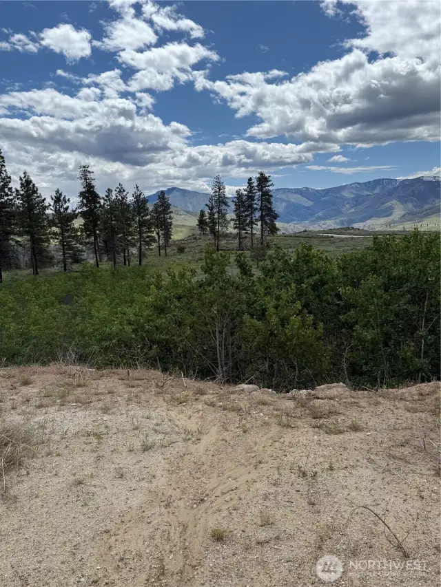 SE view
