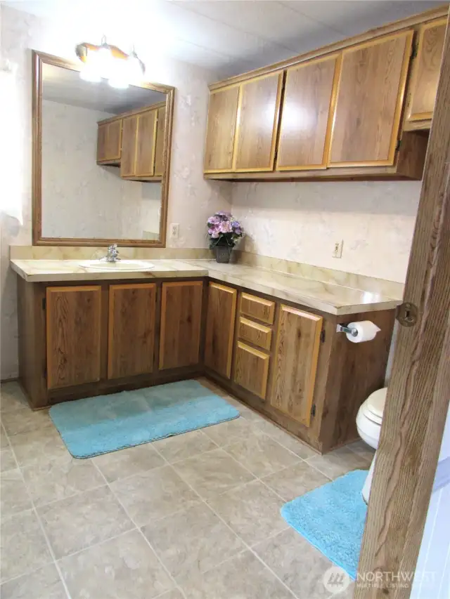 Master Bath with storage.