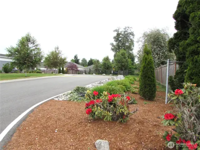 Fenced Dog park is steps away from home.