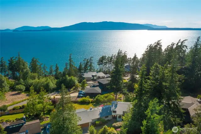 Drone View of Neighborhood