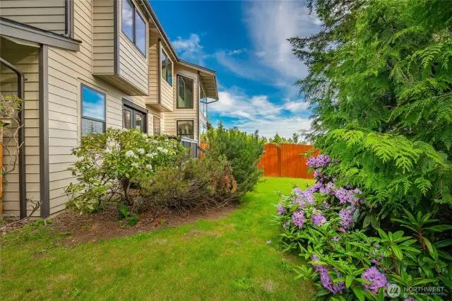 Side Yard off of Primary Bedroom