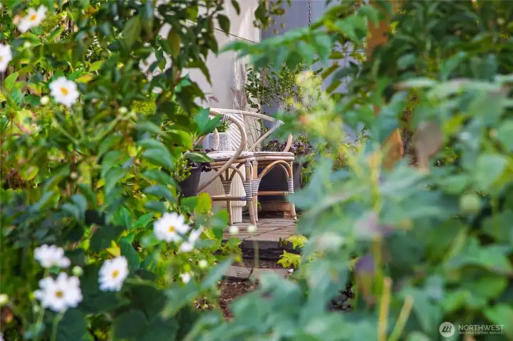 Beautifully crafted gardens with a meandering path through them