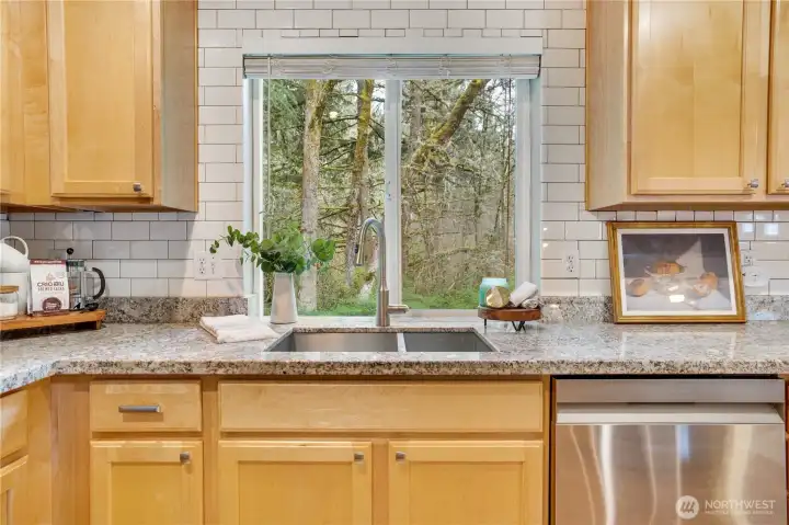 Double basin, stainless steel sink overlooks the backyard.