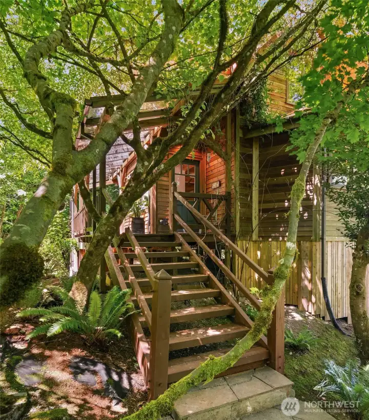 Welcome to Ober Beach! Entry stairs embraced by the mature Japanese Maple tree lead you up to the front entrance and generous wrap-around deck.