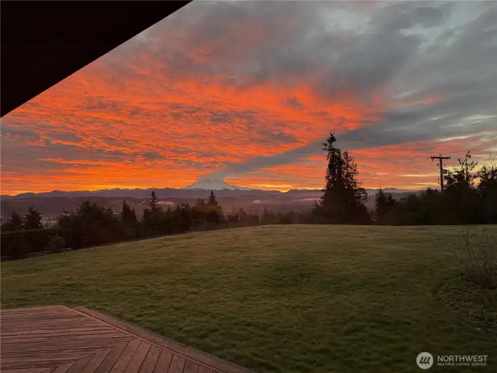 Mount Rainier and Valley