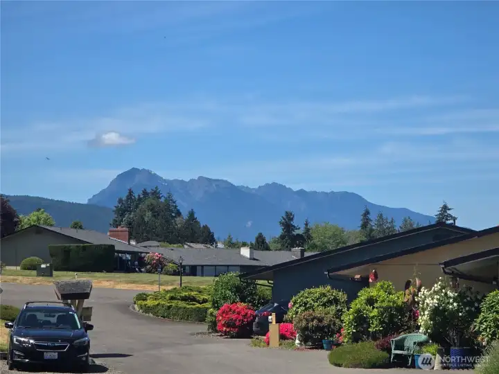 Olympic Mountains