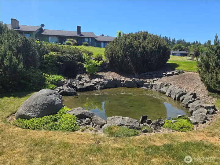 Nearby pond