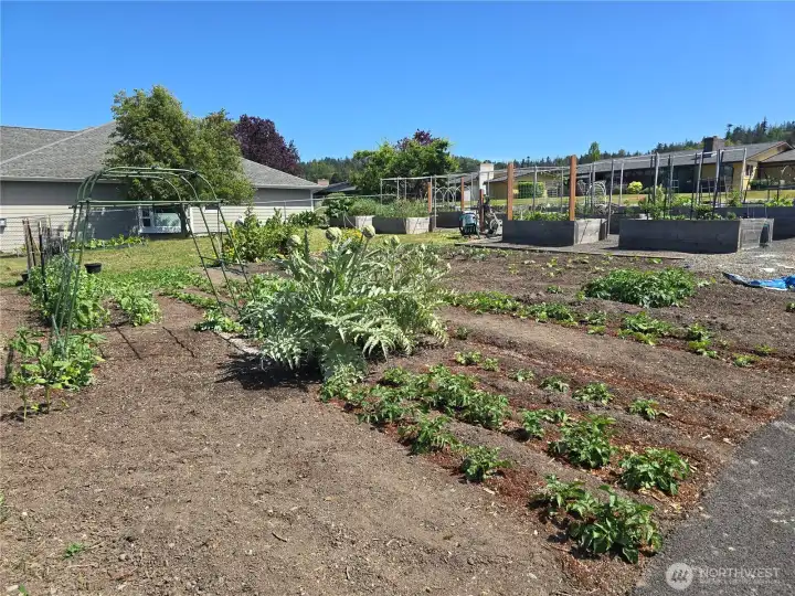 Dominion Terrace Garden Area