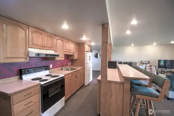 Basement Kitchen Basement Kitchen
