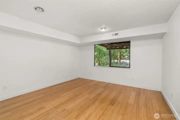 Spacious 3rd bedrrom on lower level