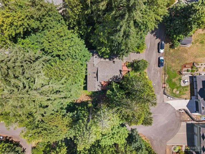 Large .77 corner lot