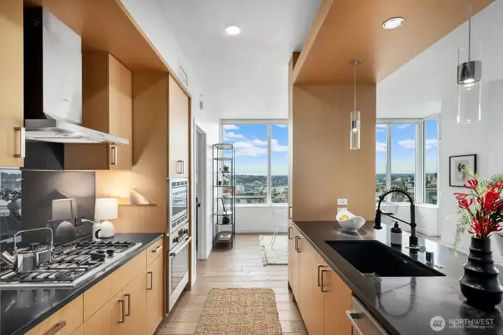 Luxe Stainless Appliances