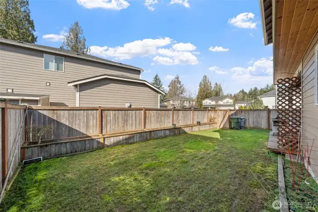 Large backyard space - complete with raised planter boxes.