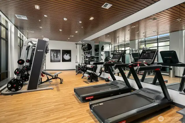 Exercise room with Peloton, Weights and Bikes
