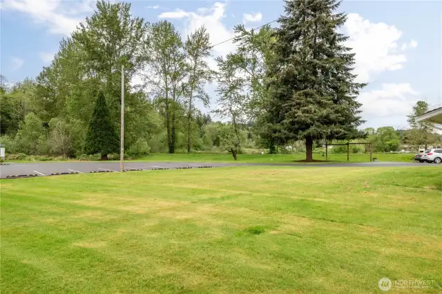 Backyard