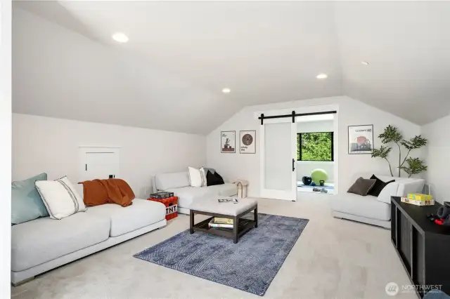 A mancave, a kidcave, mil area?  Big room for sure