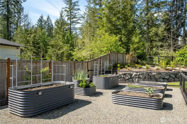 Garden space...what does your garden grow?