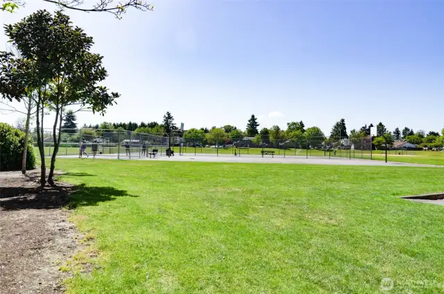 Another view of one of the parks.  Pickle ball courts