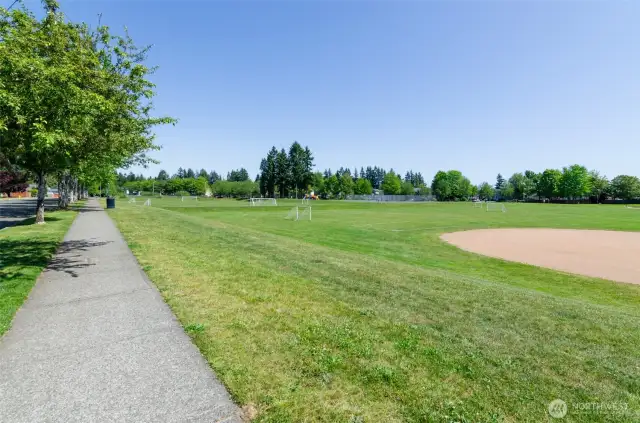 Path goes all around the park.