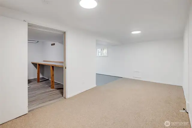 Lower level is perfect for a media room or gym area