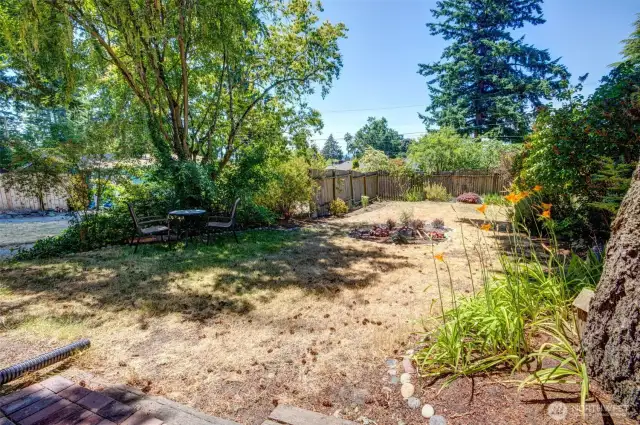a handful of large trees provide shade in this western facing back yard