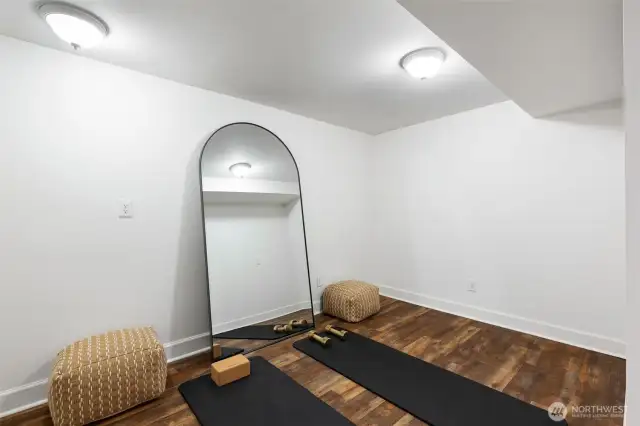 Lower level workout area or storage.