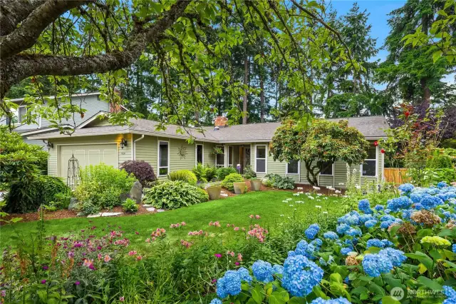Welcome to this beautiful 4 bedroom rambler, with no stairs and a flat yard this is the perfect home to spread find rest and inspiration!