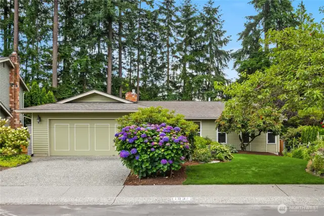 Two car garage plus plenty of driveway parking.