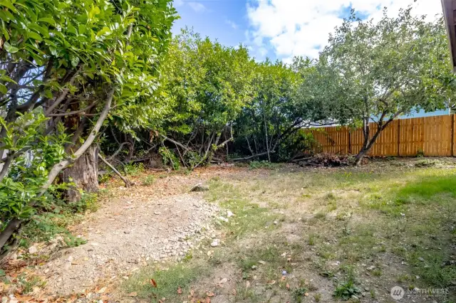 Very private back yard - fully fenced. Even an apple tree!
