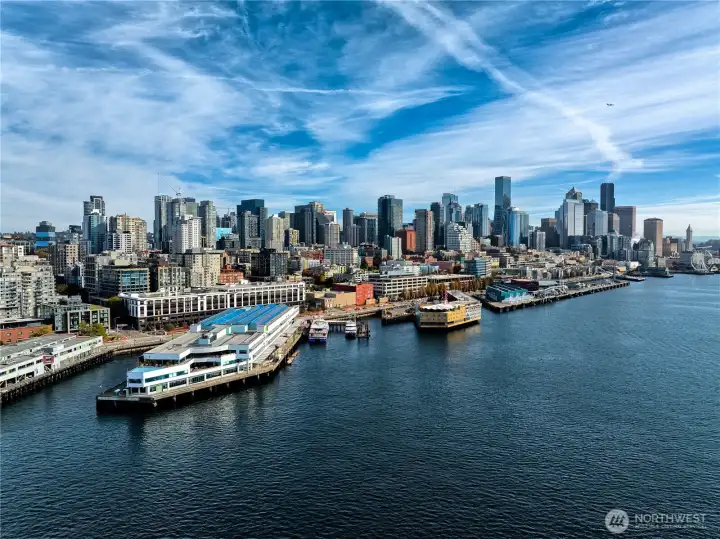 Modern city energy meets waterfront tranquility.