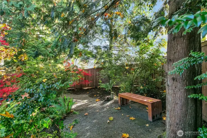 A sneak peek at the winding trails.  Mature plantings specifically chosen for beauty & easy care.