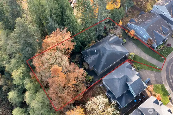 When you need to "get away", simply walk outside to your private arboretum! Indoors, heat pump keeps you cozy or cool, year around! Lot is .40 acres, 17,401 sq. ft.   Red lines are fairly reliable but not guaranteed.