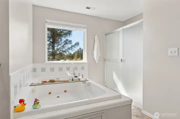 Soaking tub in master bathroom