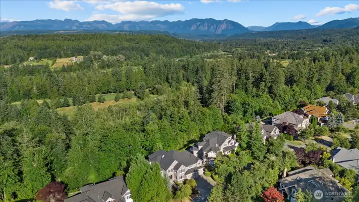Mountain Views