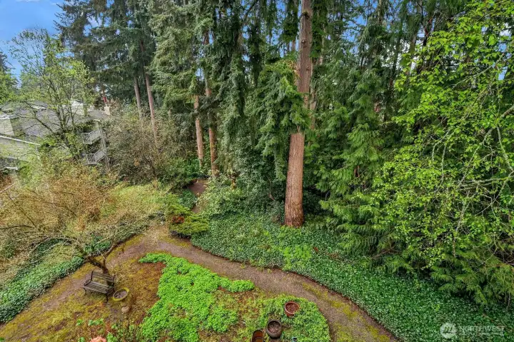 Enjoy the peaceful, tree-lined views and explore the scenic trails throughout the community.