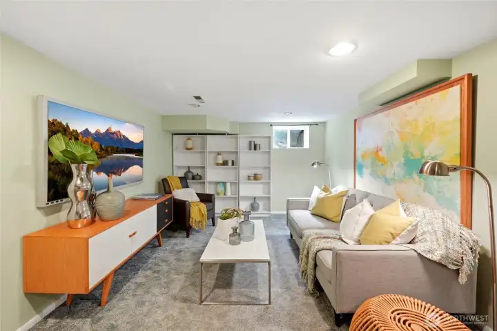 Downstairs bonus room