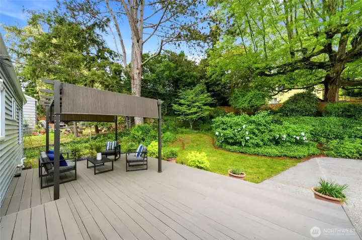 Your backyard oasis