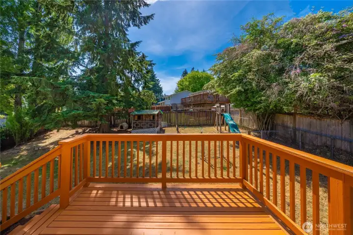 Back deck is freshly painted