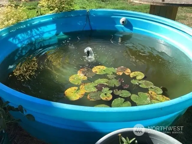 Fish pond can stay or go