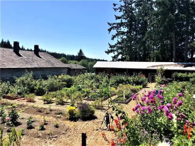 Community Gardens