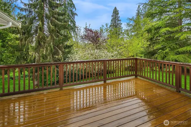 Peaceful wooded view from the deck