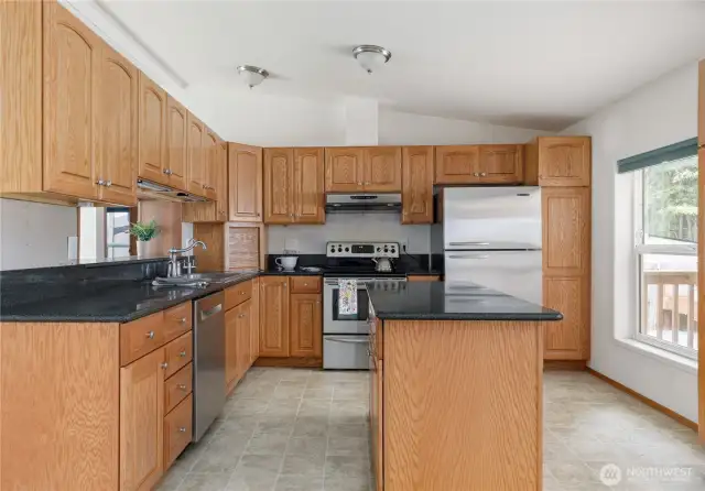 Stainless steel appliances with solid surface countertops