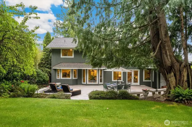 Gorgeous, peaceful yard with composite deck and grassy yard!