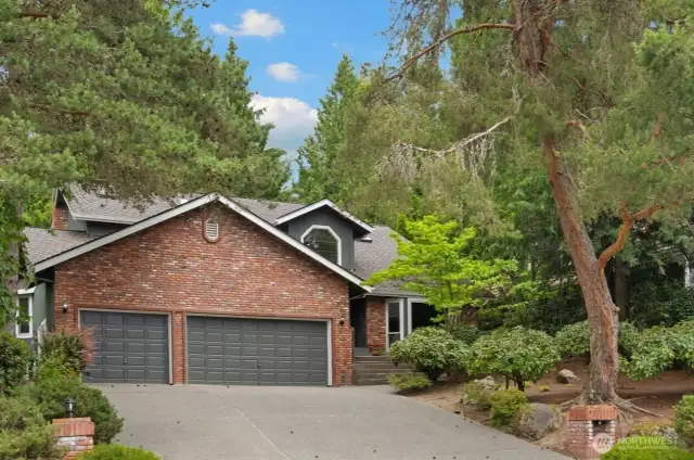 Charming and tucked away framed by mature trees