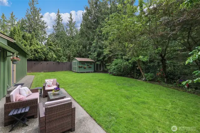Backyard View – Private backyard with lush grass, mature trees, and patio seating—perfect for summer nights or morning coffee.