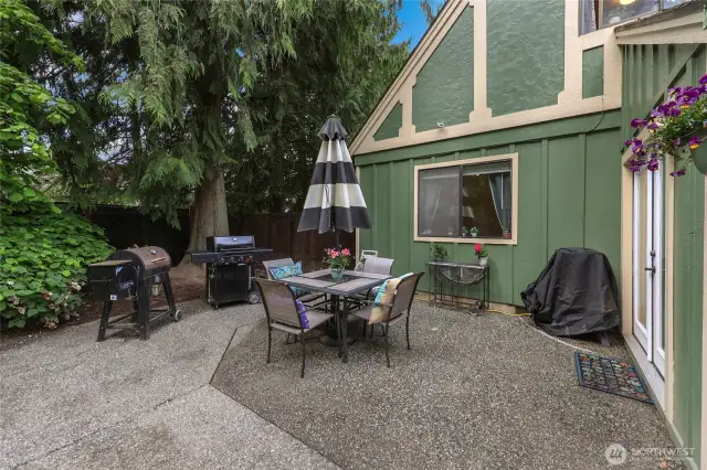 Back Patio – Entertainer’s dream with dual grill setup, bistro lighting, and space for outdoor dining under the evergreens.