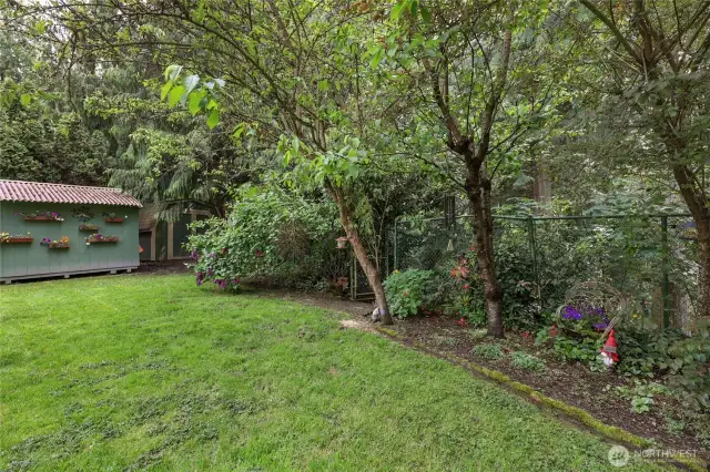 Woodland Backyard, Shaded, private, and peaceful—fully fenced yard with garden beds and fruit trees. Yet close to town and amenities.