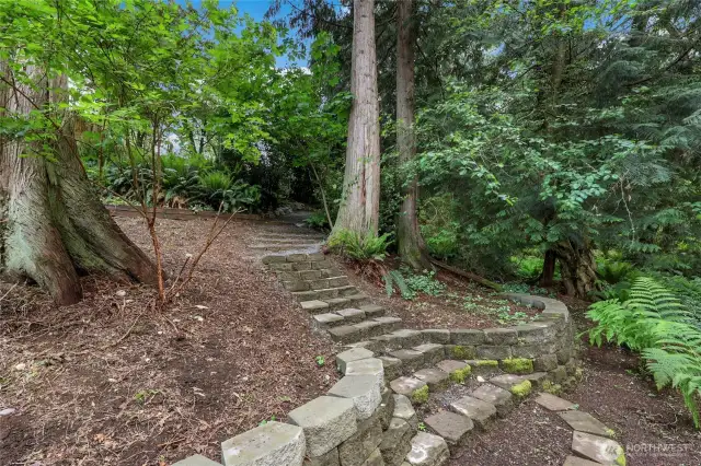 Terraced Forest Garden – Natural woodland setting with terraces and trails leading to your own serene creek hideaway.