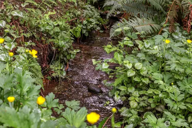 Creek in Backyard – Natural creek winds through this fairytale setting—peaceful and rare.